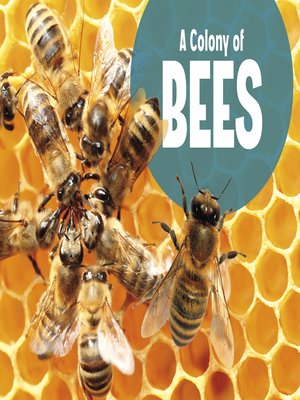 cover image of A Colony of Bees